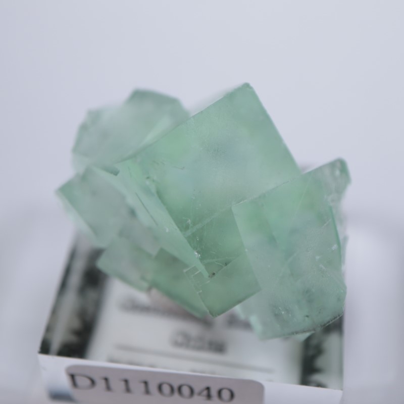 �����ե�����󻺡�����