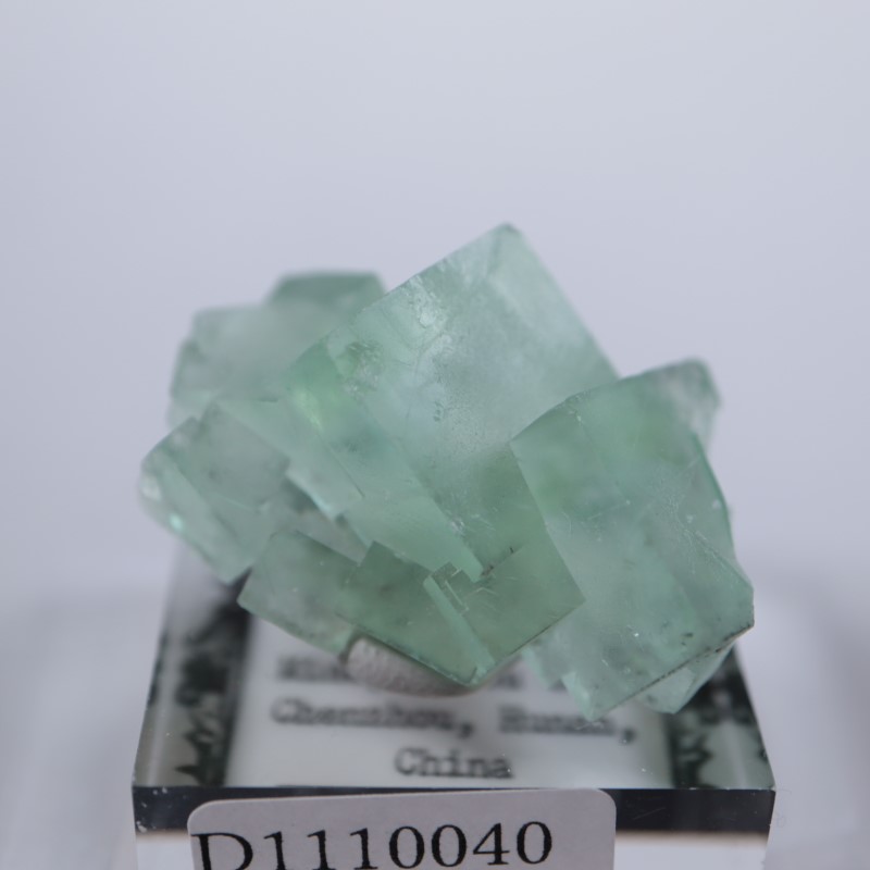 �����ե�����󻺡�����