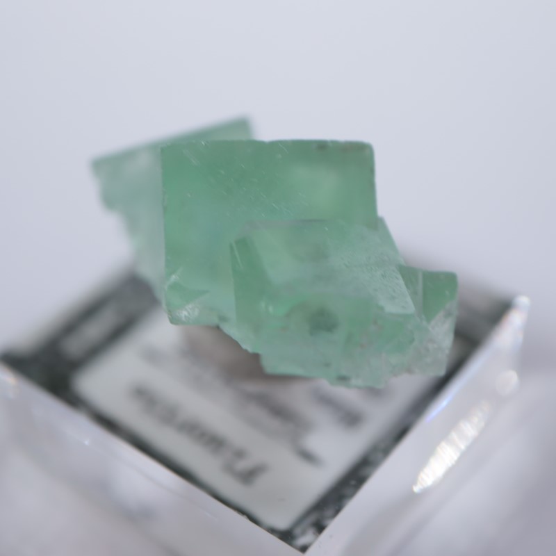 �����ե�����󻺡�����