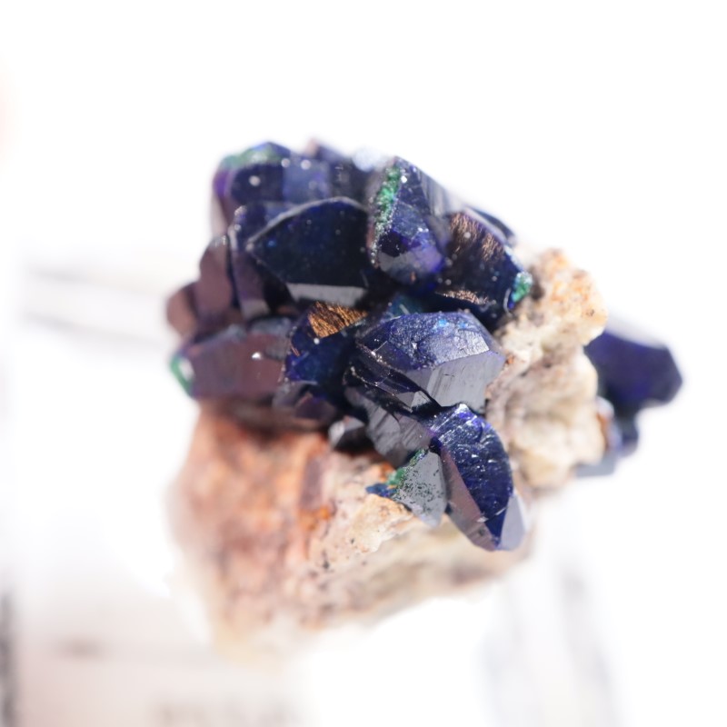 �������ȥ�ꥢ���������饤��