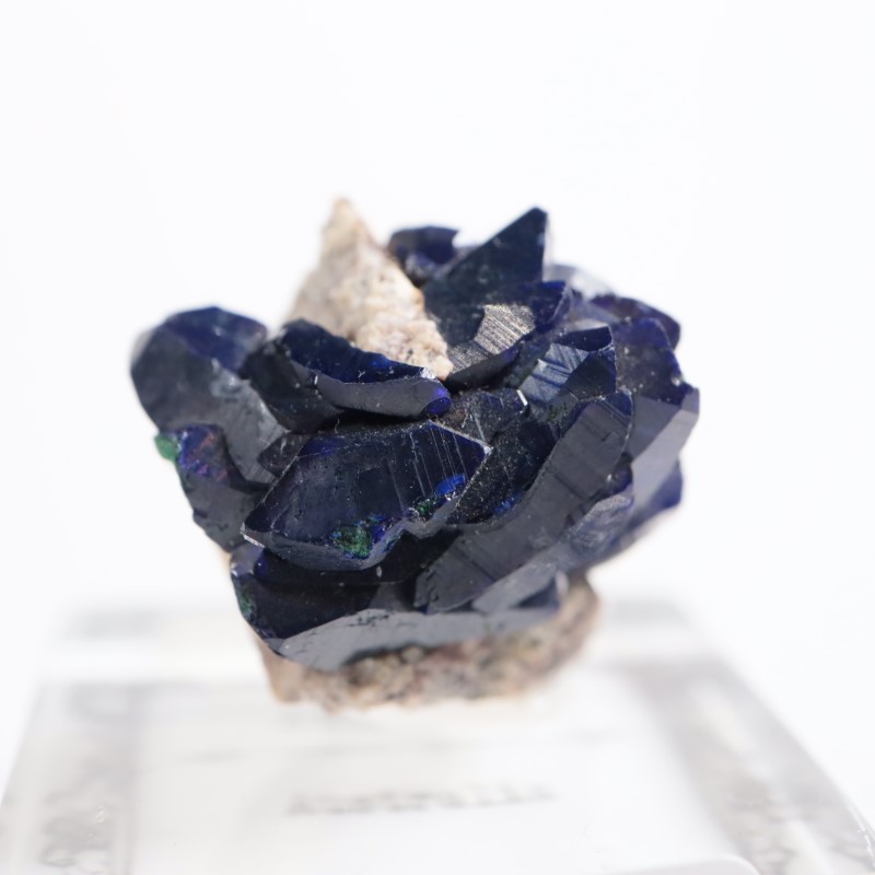 �������ȥ�ꥢ���������饤��