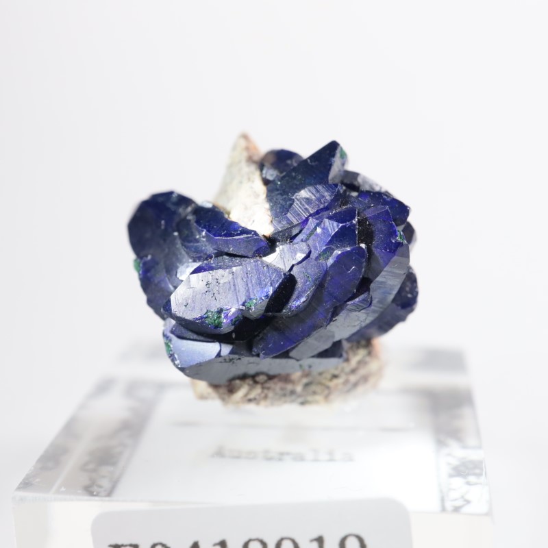 �������ȥ�ꥢ���������饤��