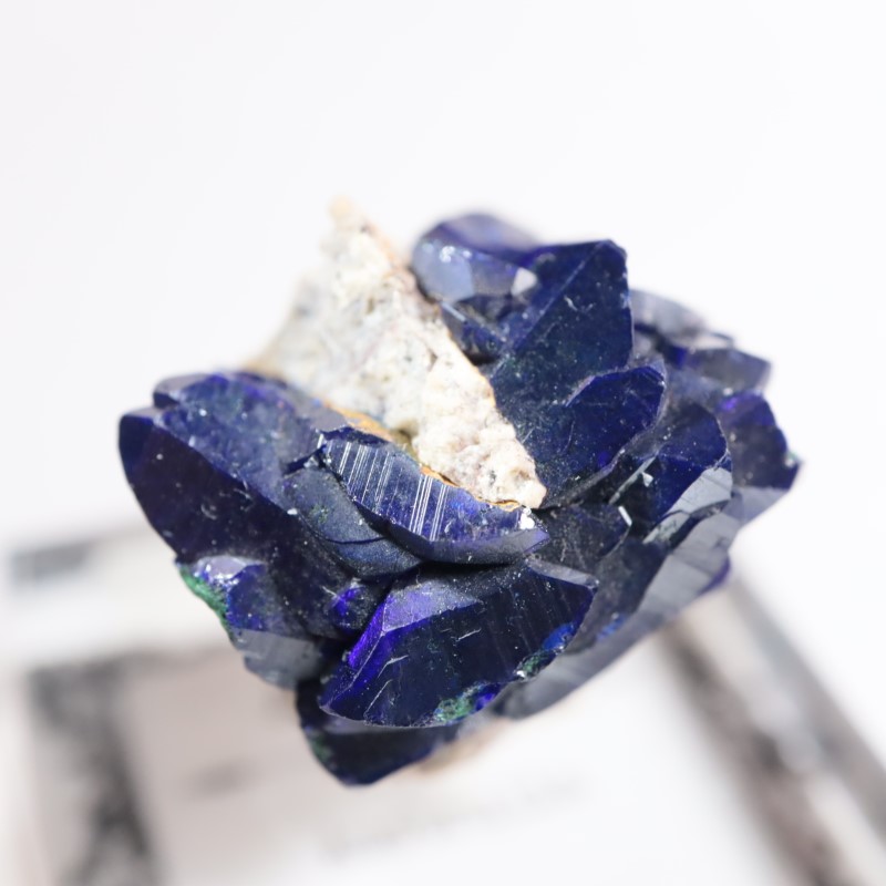 �������ȥ�ꥢ���������饤��