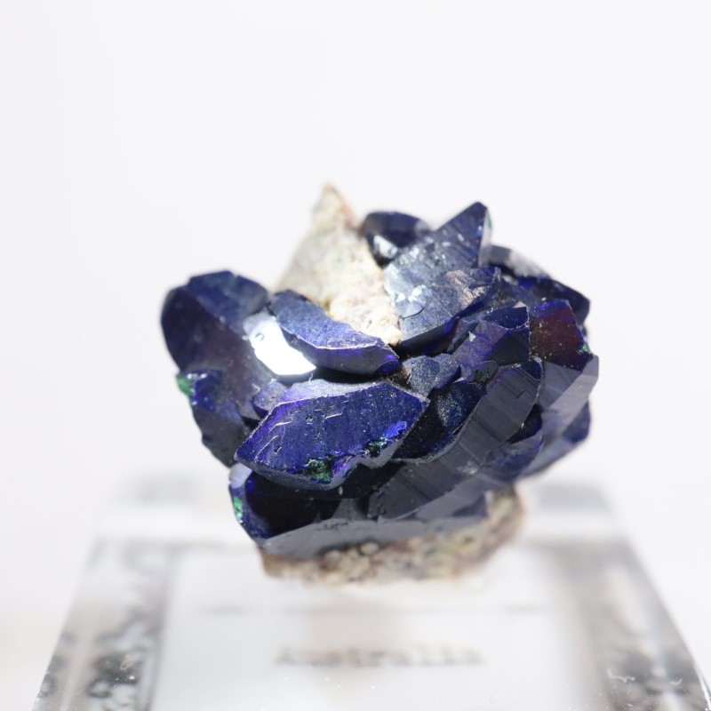 �������ȥ�ꥢ���������饤��