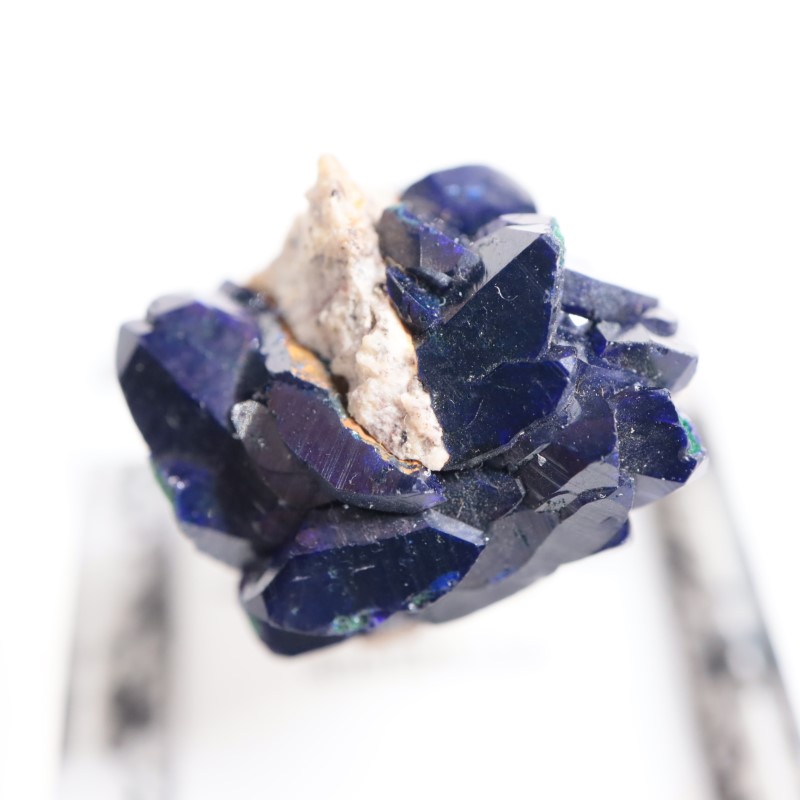 �������ȥ�ꥢ���������饤��