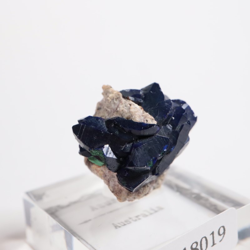 �������ȥ�ꥢ���������饤��