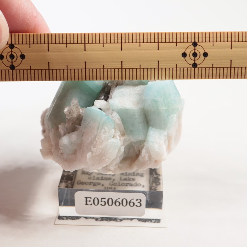 ������ɽ������ޥ��ʥ��ȡ����⡼������������