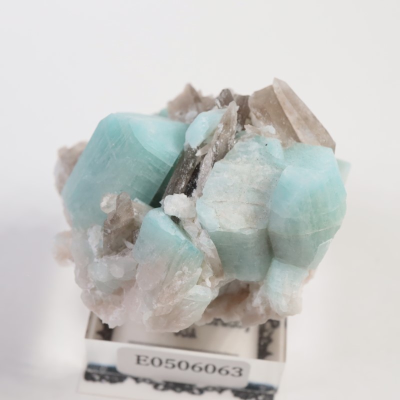 ������ɽ������ޥ��ʥ��ȡ����⡼������������