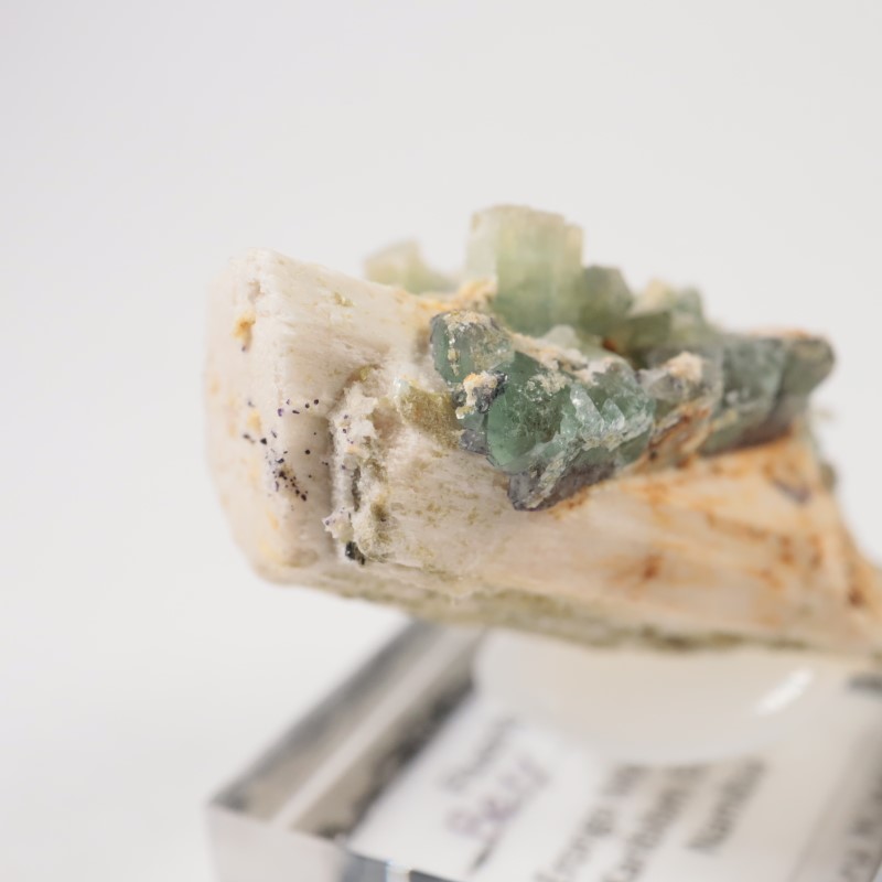 �ʥߥӥ��� �ե����饤�ȡ��٥��