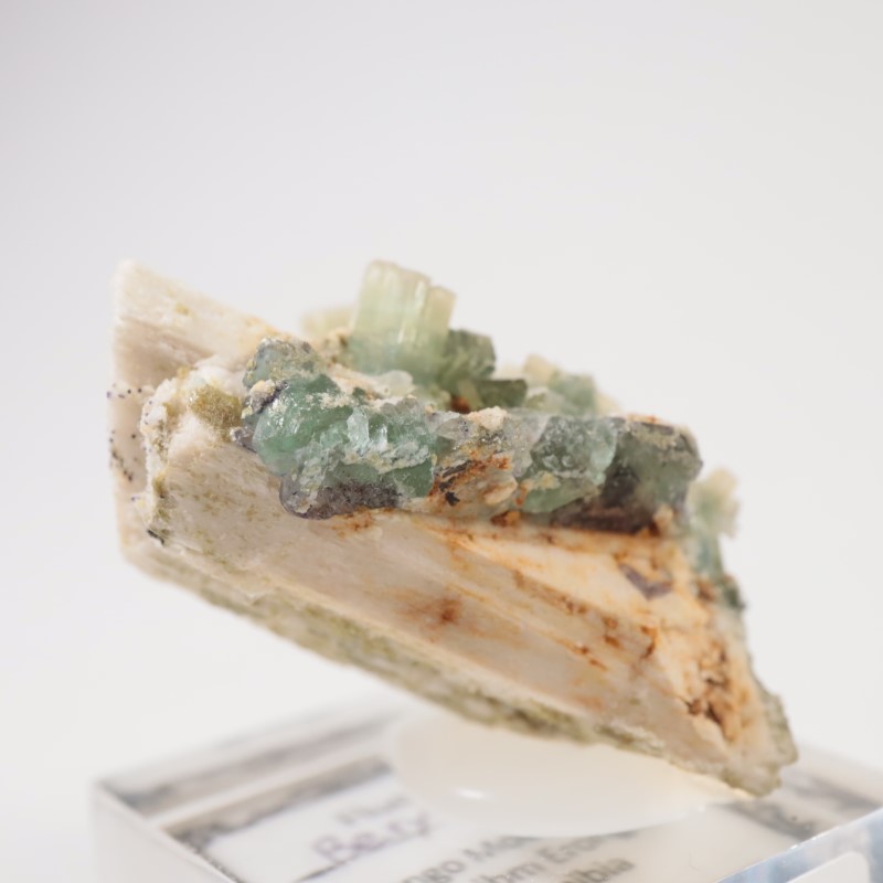 �ʥߥӥ��� �ե����饤�ȡ��٥��