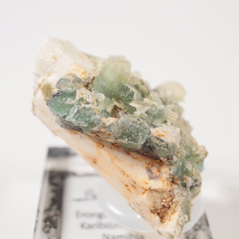 �ʥߥӥ��� �ե����饤�ȡ��٥��