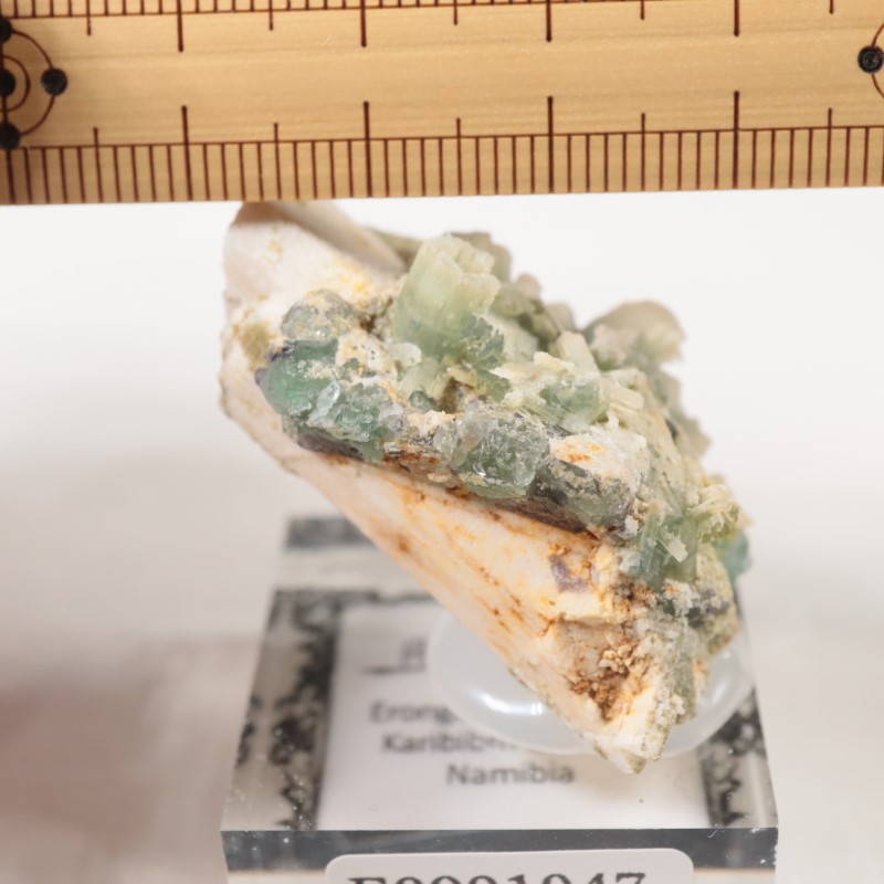 �ʥߥӥ��� �ե����饤�ȡ��٥��