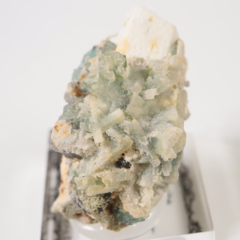 �ʥߥӥ��� �ե����饤�ȡ��٥��