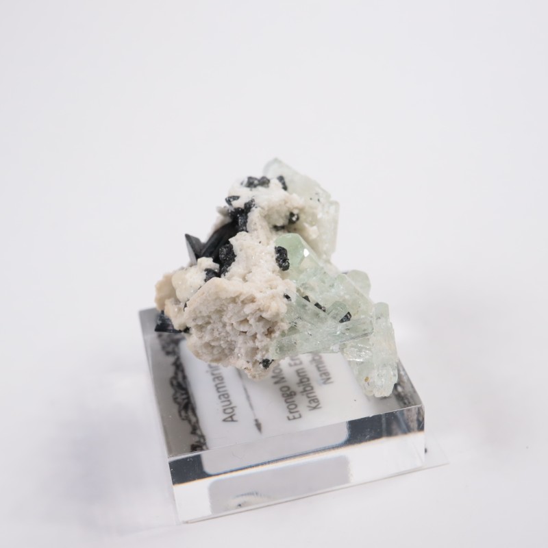 �ʥߥӥ��� �������ޥ��