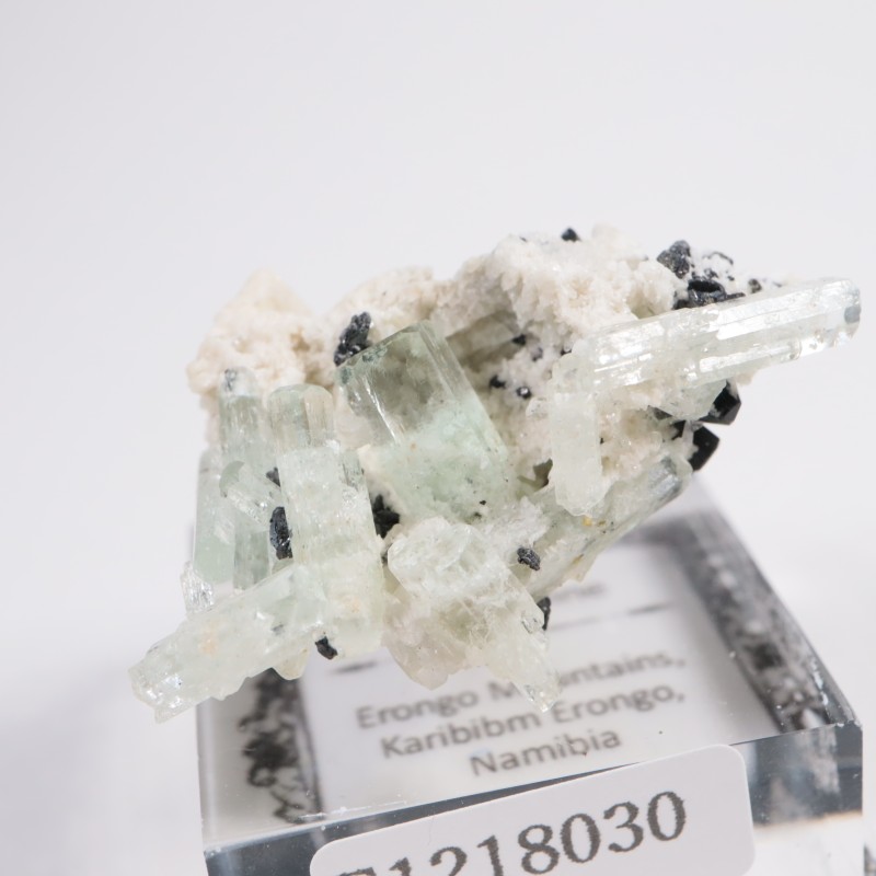 �ʥߥӥ��� �������ޥ��