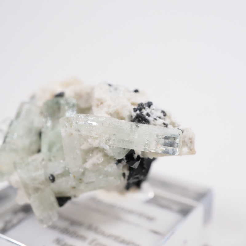 �ʥߥӥ��� �������ޥ��