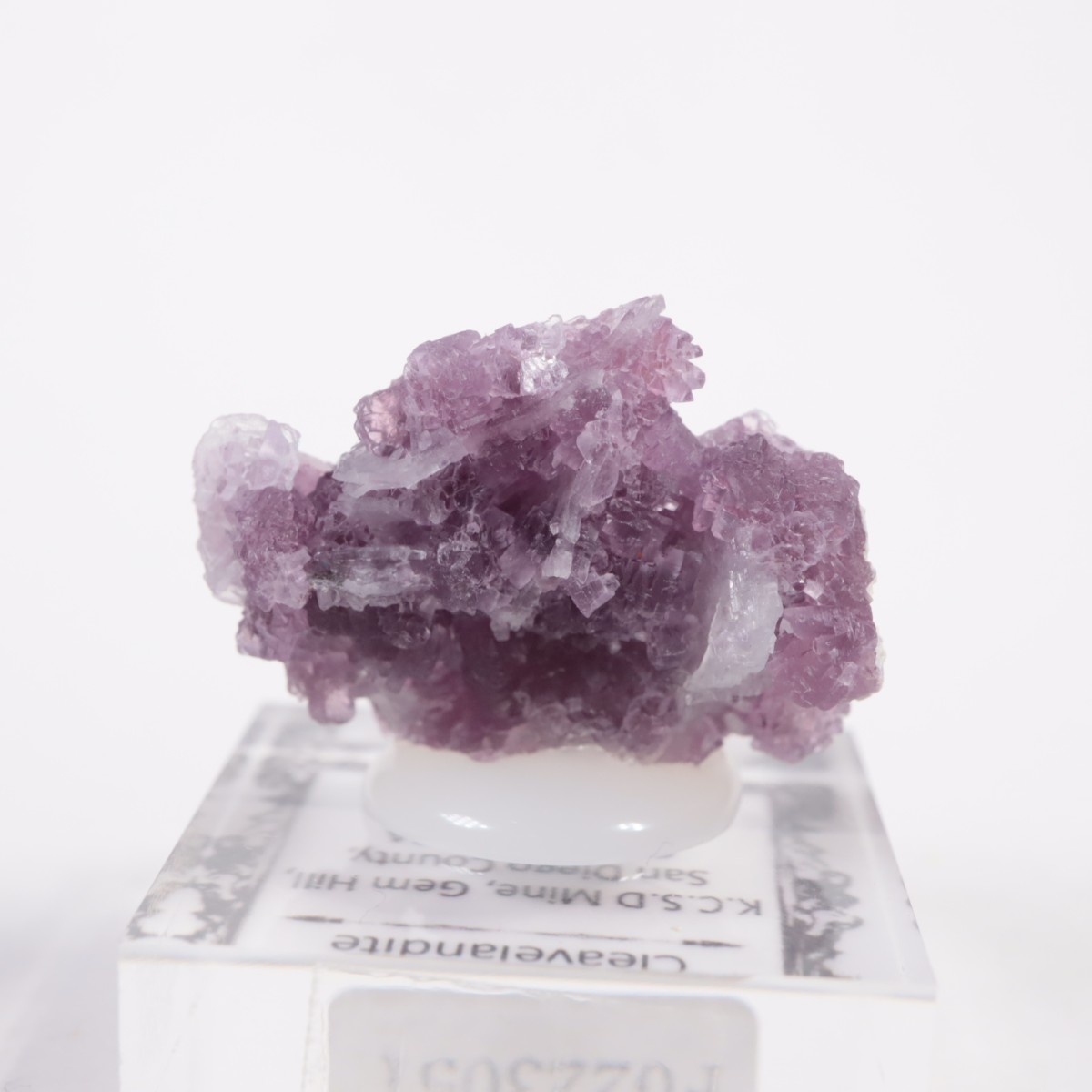 ����ե���˥���������ԥɥ饤�ȡ����꡼�֥�������