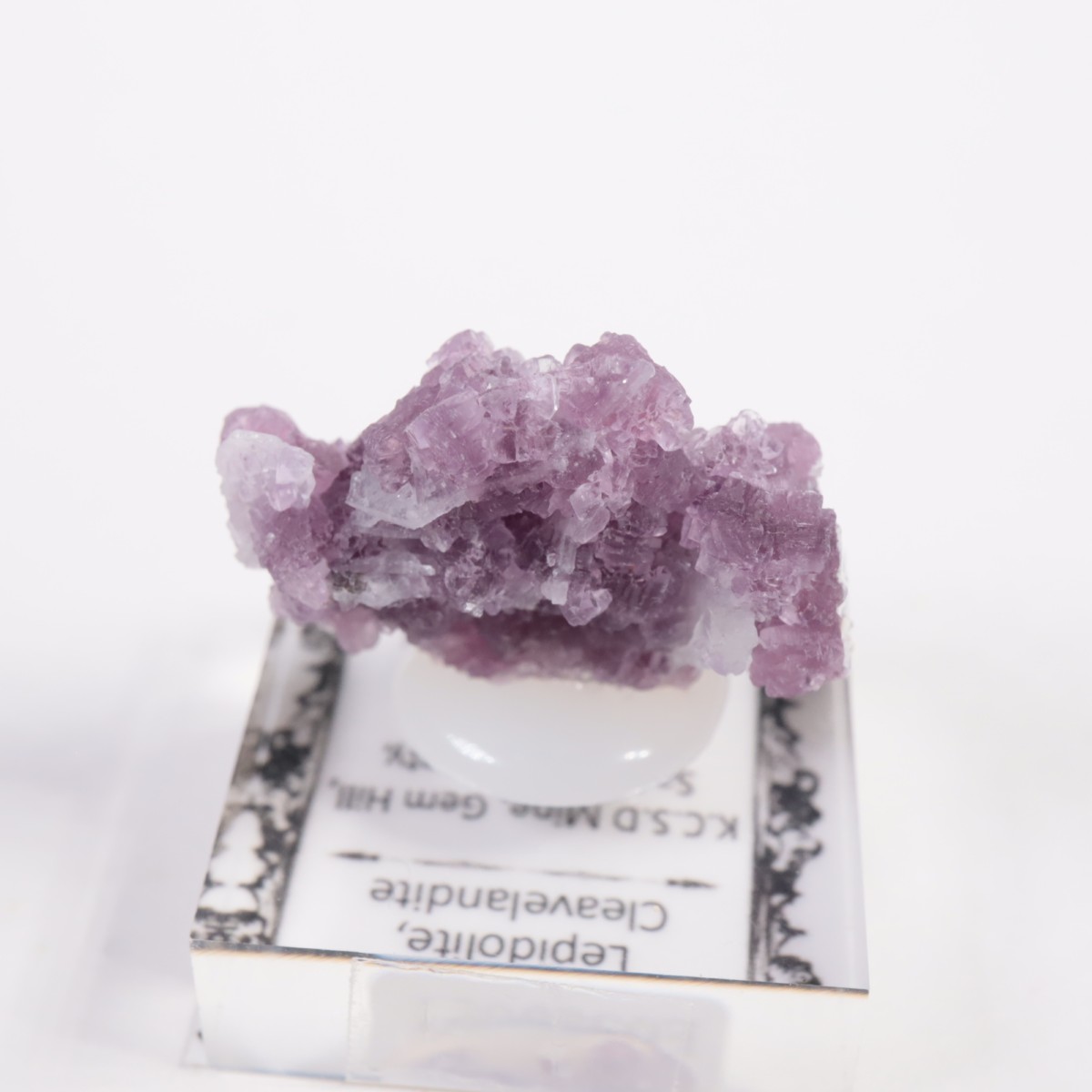 ����ե���˥���������ԥɥ饤�ȡ����꡼�֥�������