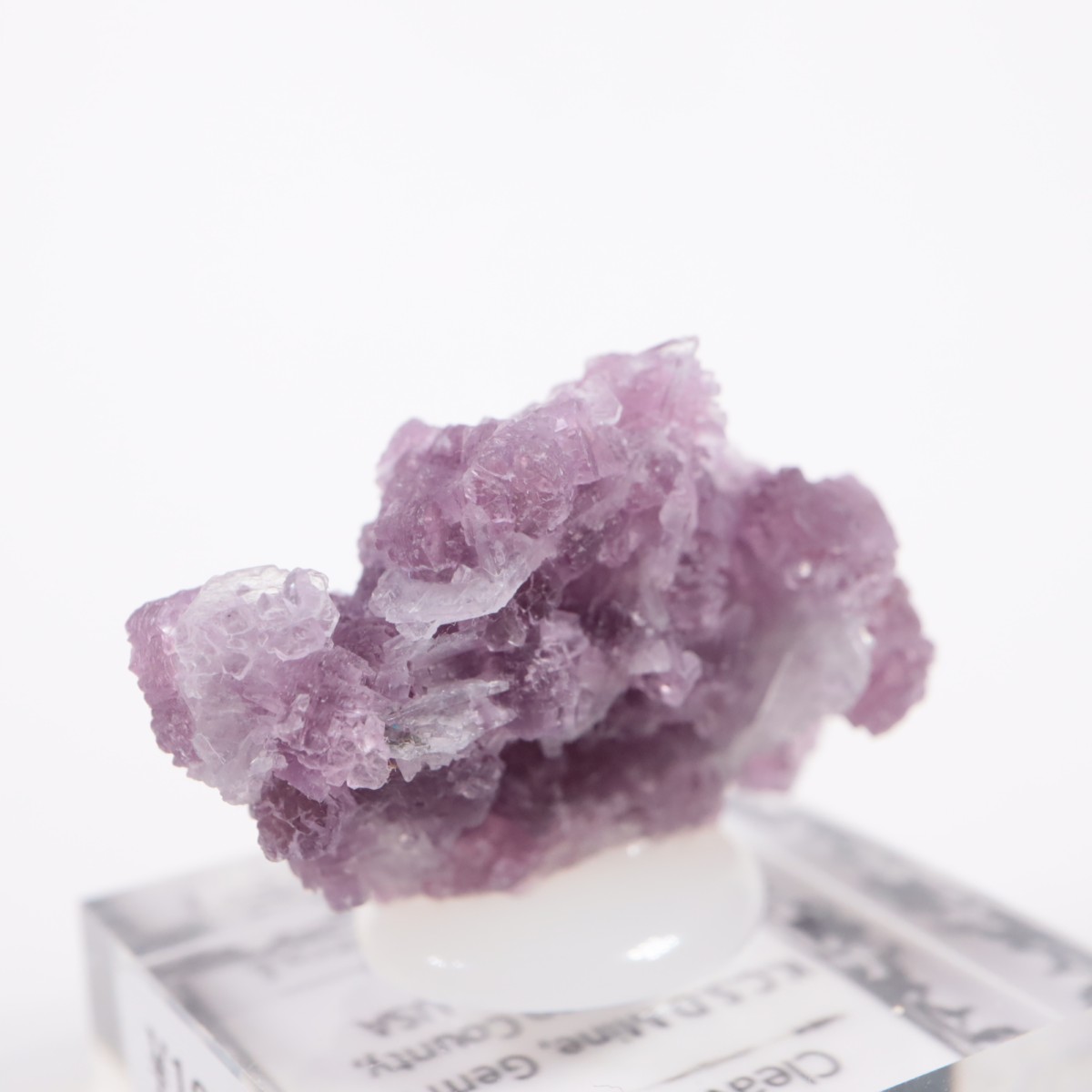 ����ե���˥���������ԥɥ饤�ȡ����꡼�֥�������