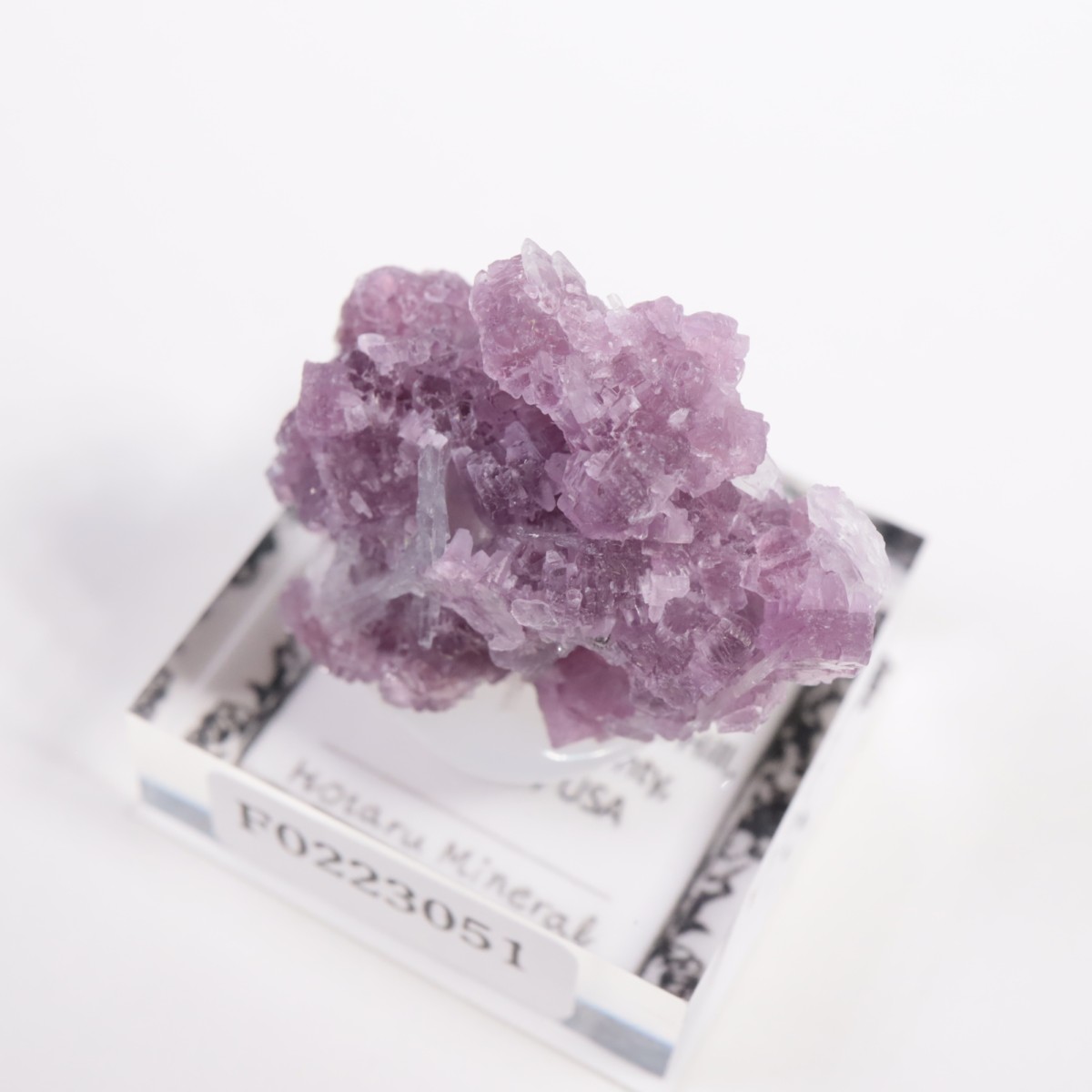 ����ե���˥���������ԥɥ饤�ȡ����꡼�֥�������