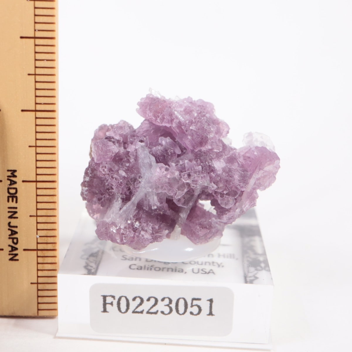 ����ե���˥���������ԥɥ饤�ȡ����꡼�֥�������