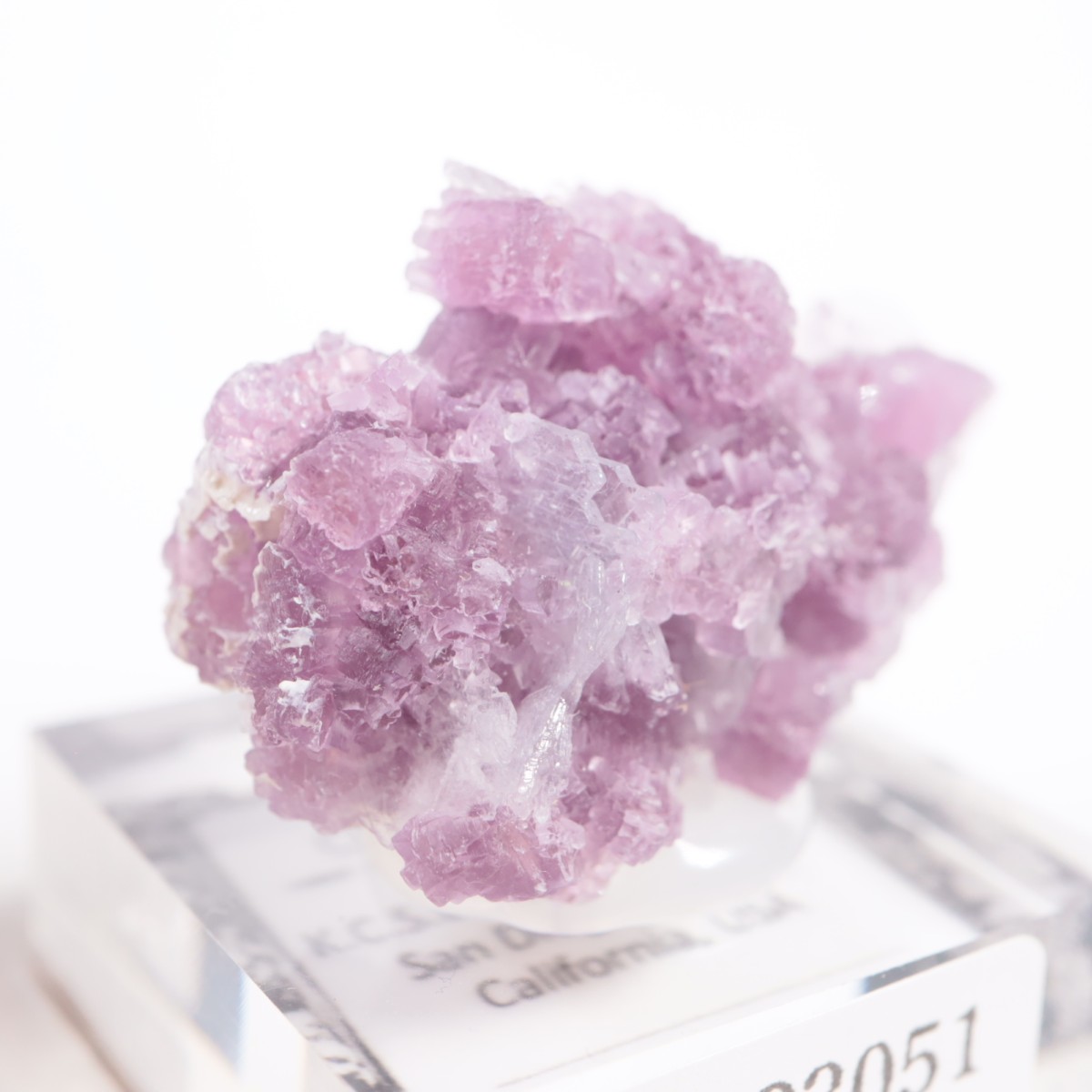 ����ե���˥���������ԥɥ饤�ȡ����꡼�֥�������