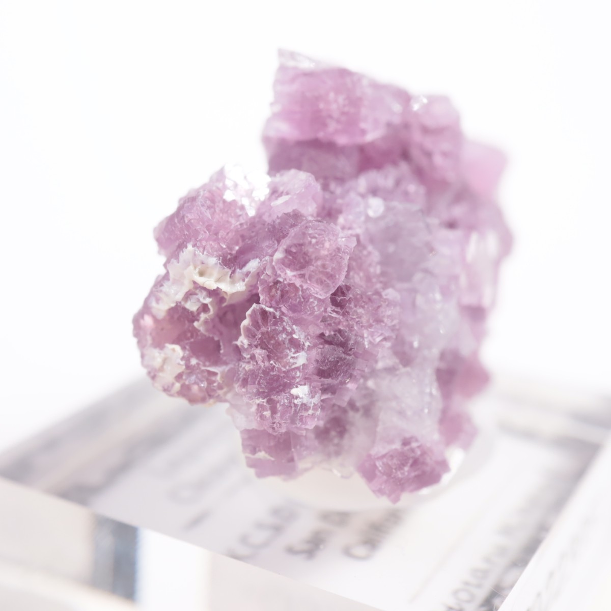 ����ե���˥���������ԥɥ饤�ȡ����꡼�֥�������