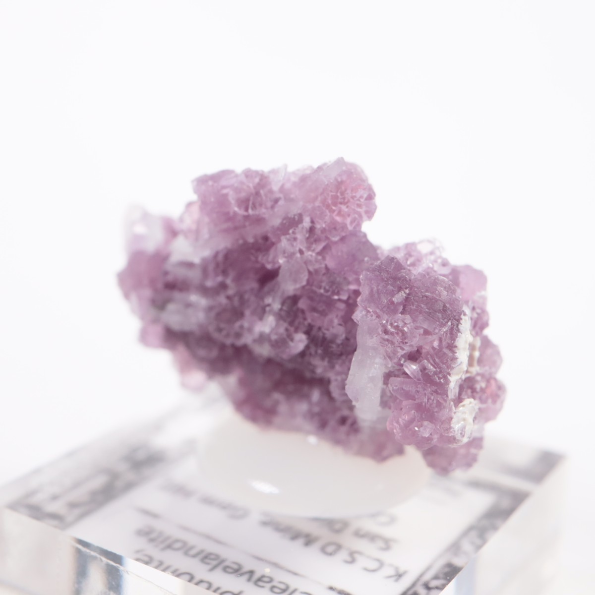 ����ե���˥���������ԥɥ饤�ȡ����꡼�֥�������