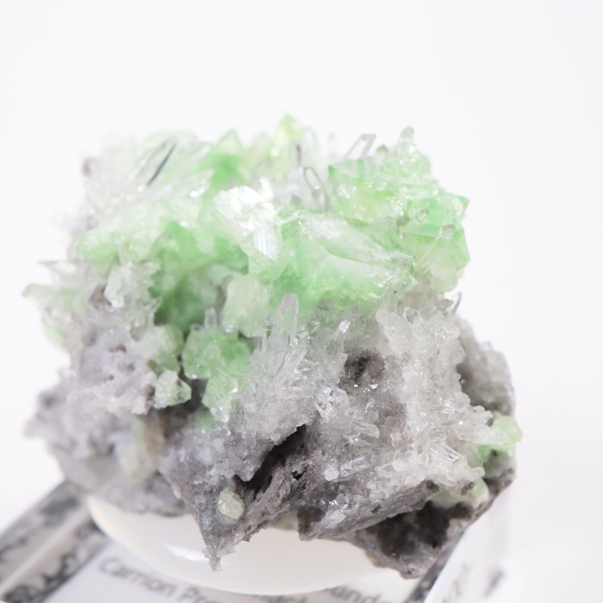 �ڥ롼�� �������饤�ȡ���������