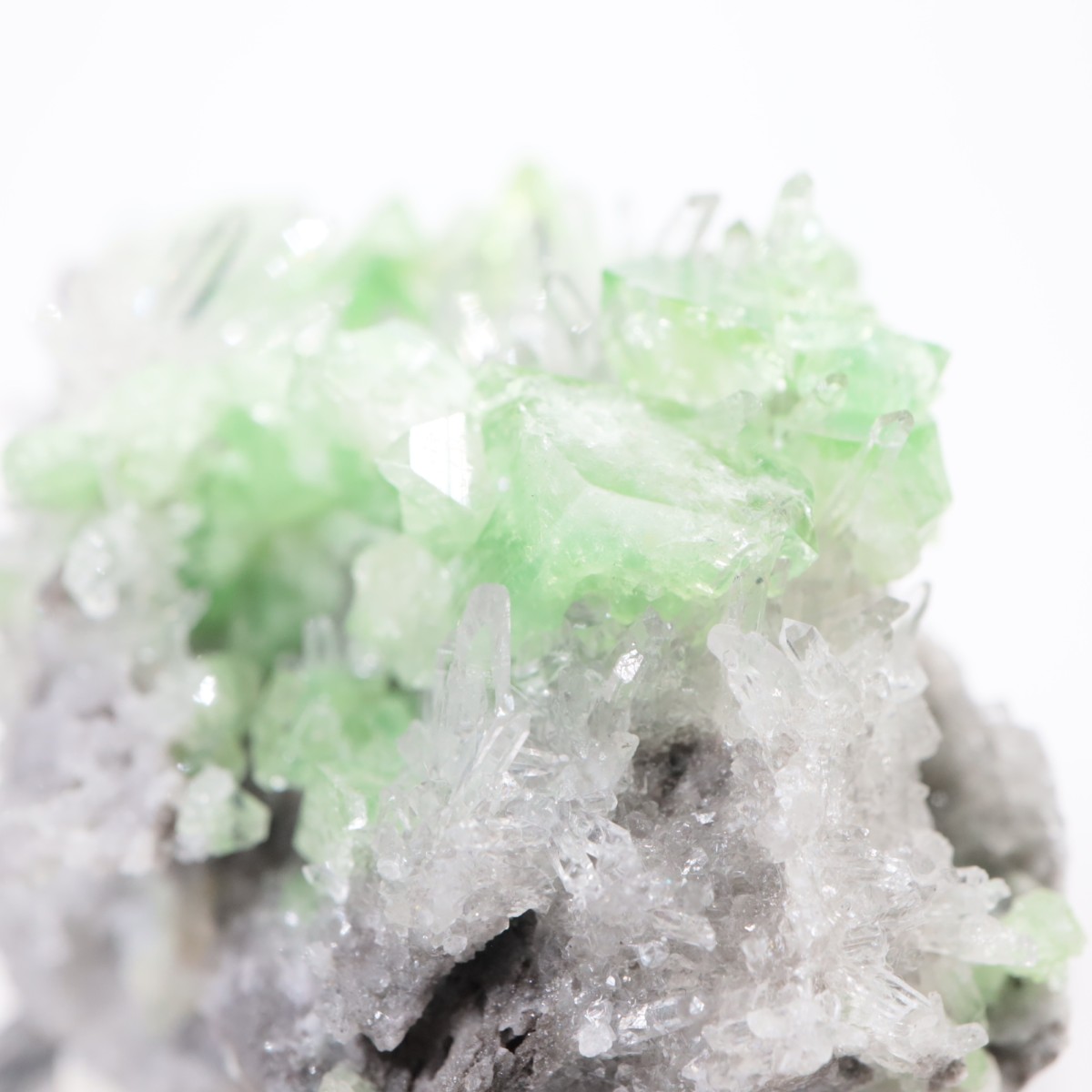 �ڥ롼�� �������饤�ȡ���������