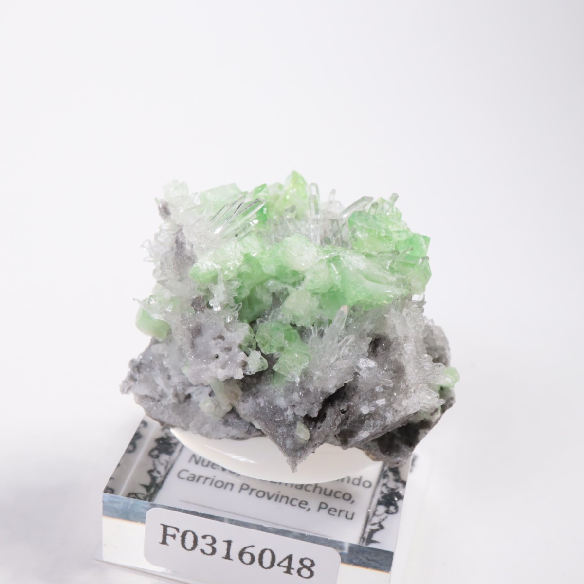 ペルー産 アウゲライト、クォーツ | 鉱物標本,その他の鉱物 | ほたるみ