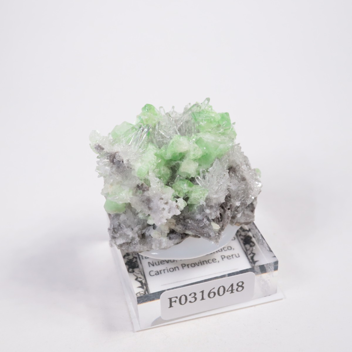 �ڥ롼�� �������饤�ȡ���������