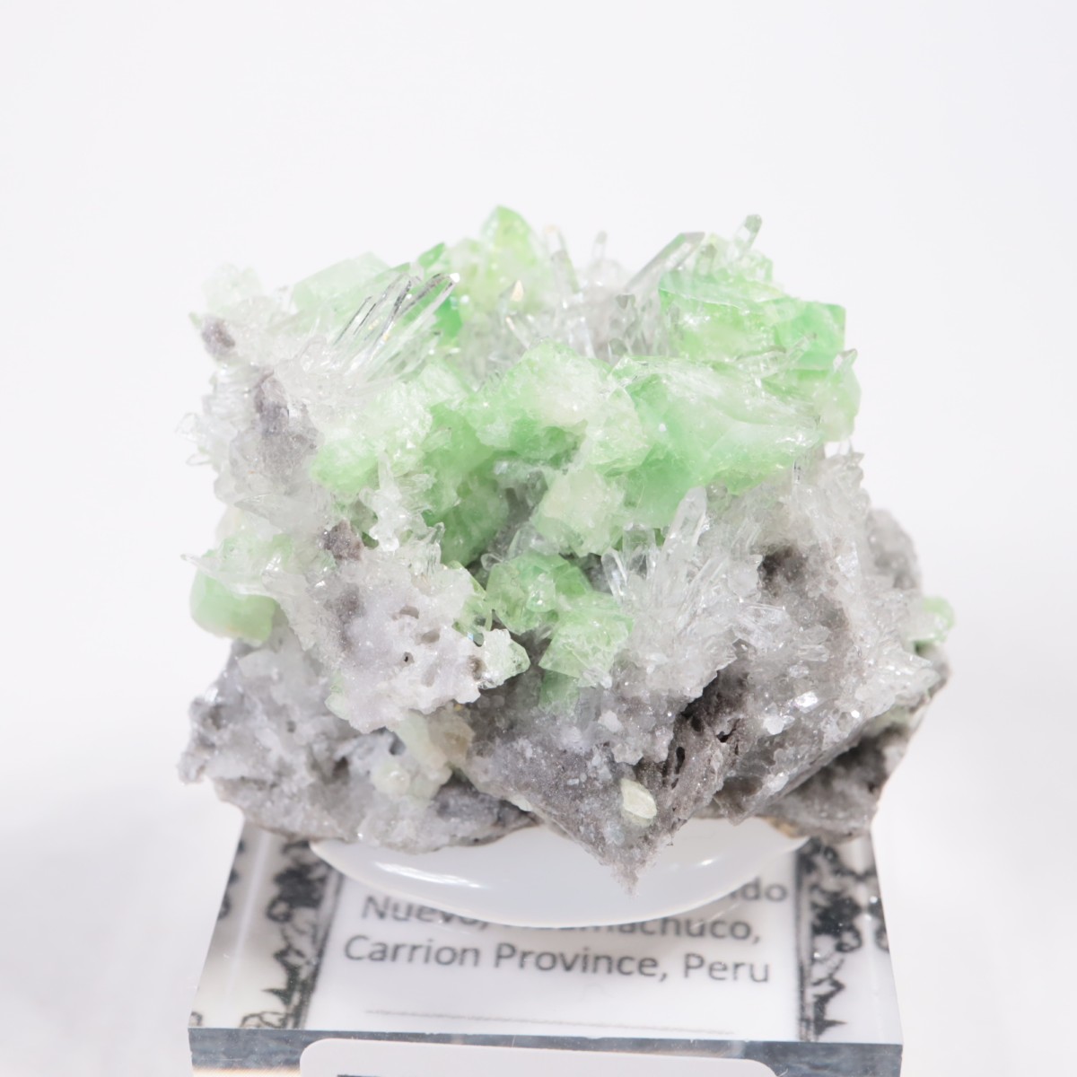 �ڥ롼�� �������饤�ȡ���������