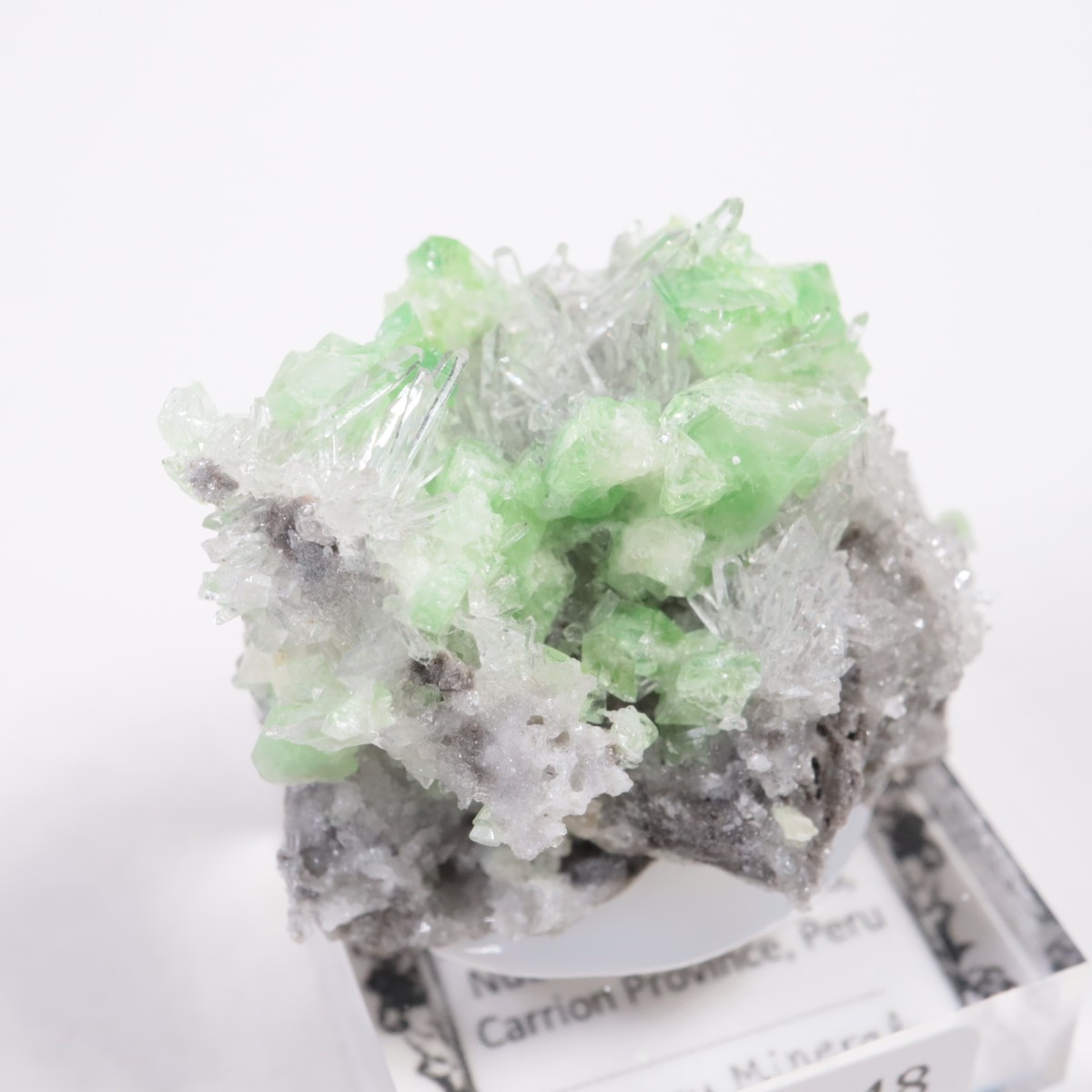 �ڥ롼�� �������饤�ȡ���������