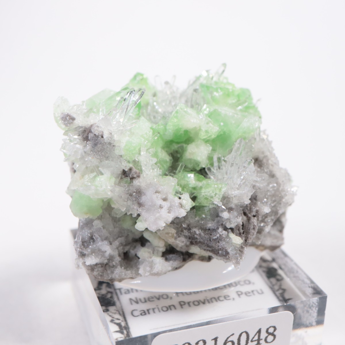 �ڥ롼�� �������饤�ȡ���������