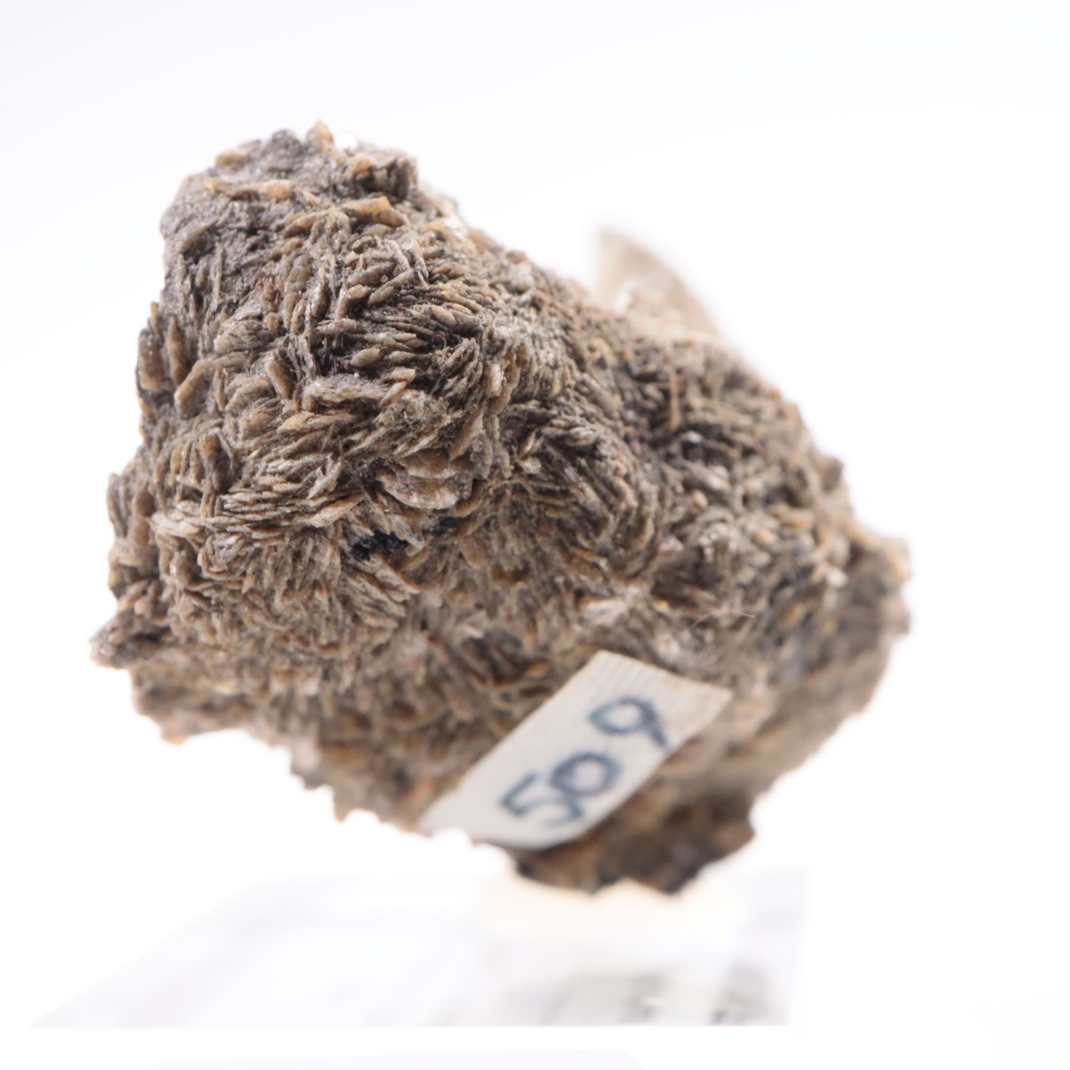 ������ɽ� ���ץ���