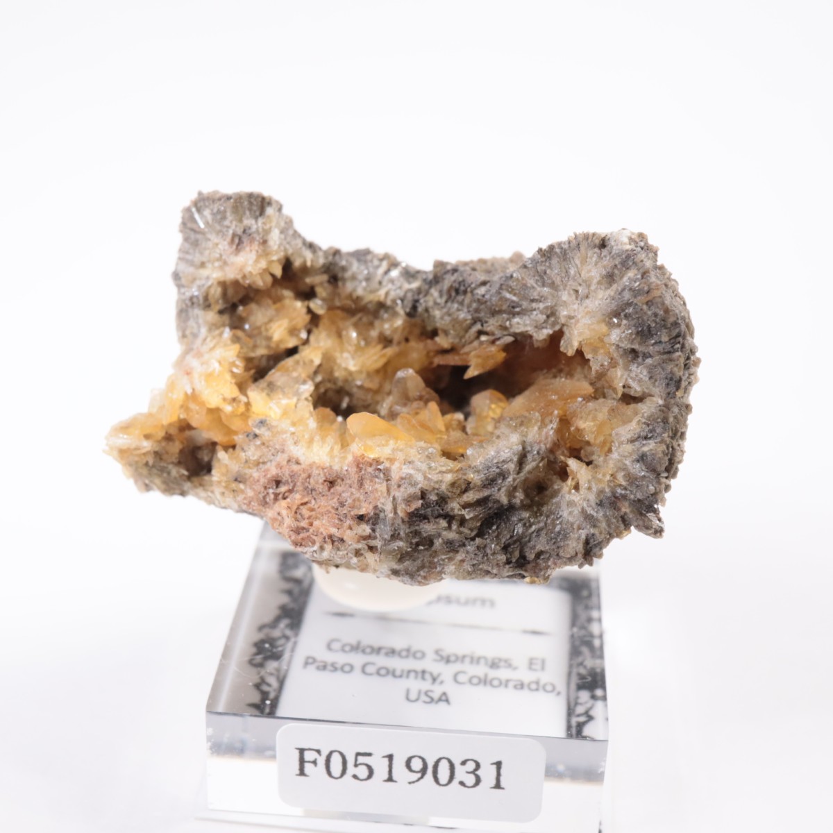 ������ɽ� ���ץ���