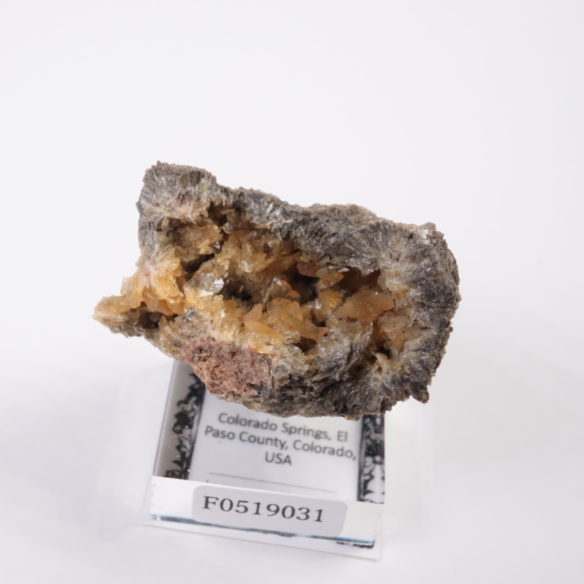 ������ɽ� ���ץ���