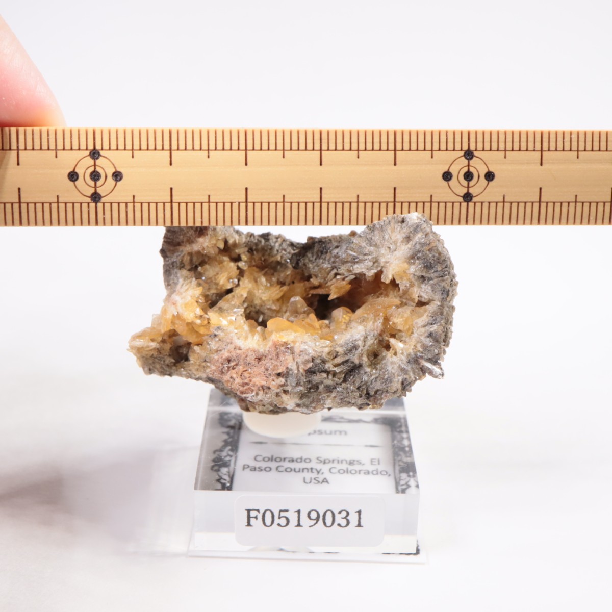 ������ɽ� ���ץ���