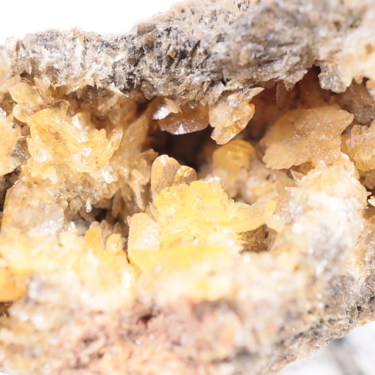 ������ɽ� ���ץ���