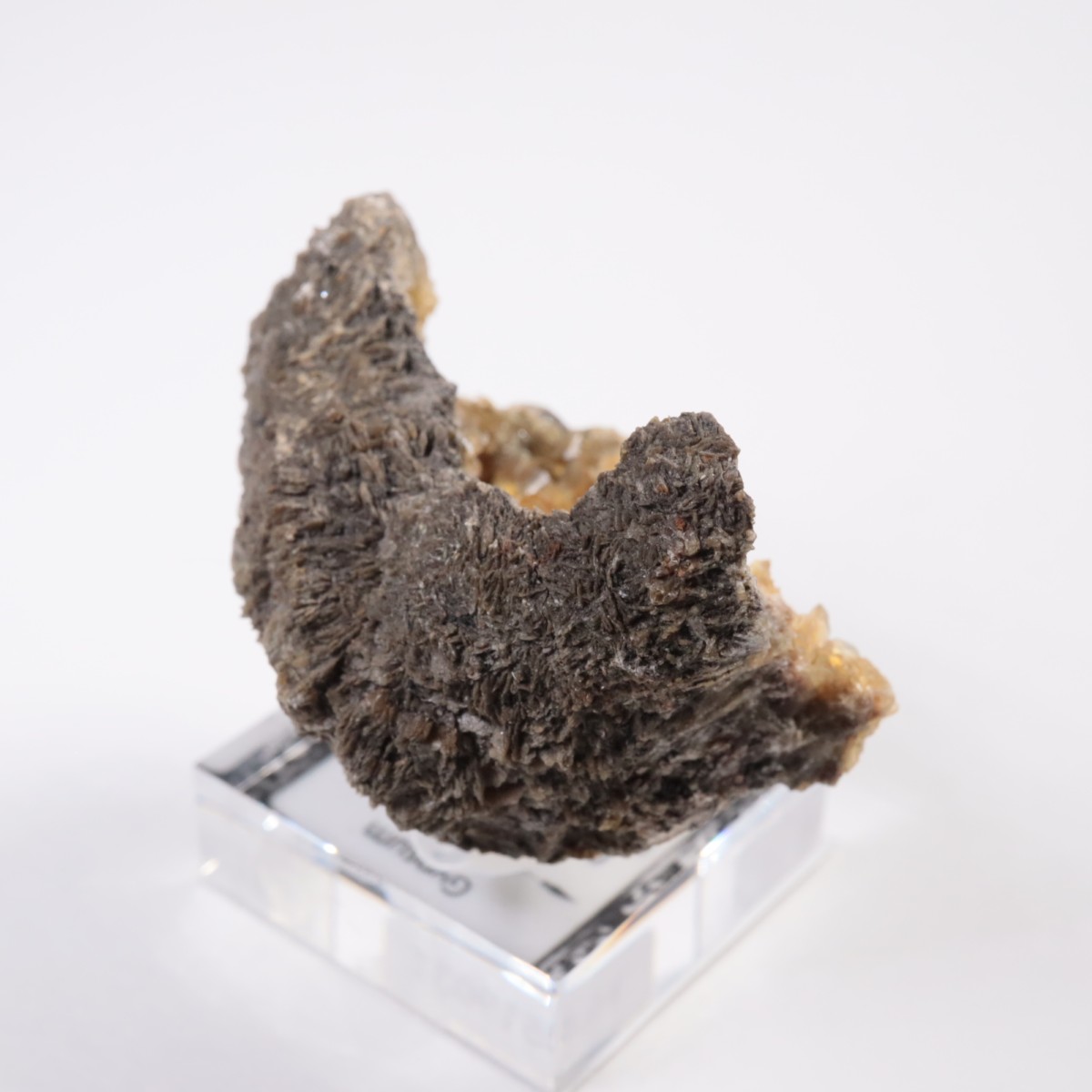 ������ɽ� ���ץ���