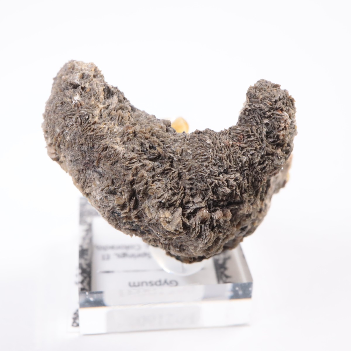 ������ɽ� ���ץ���