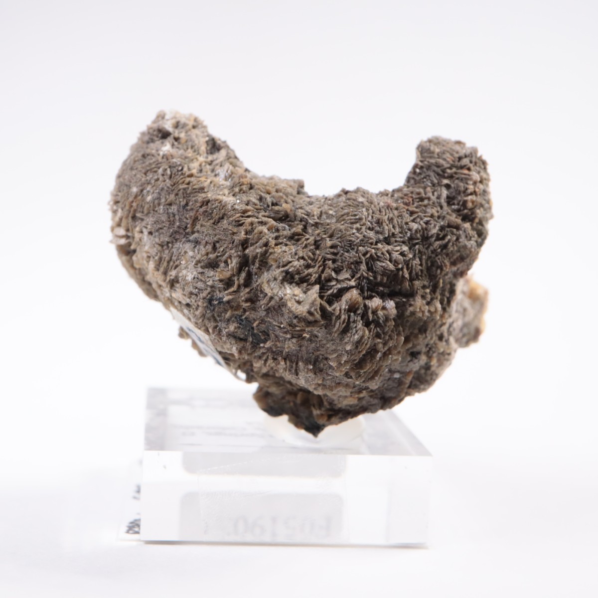 ������ɽ� ���ץ���