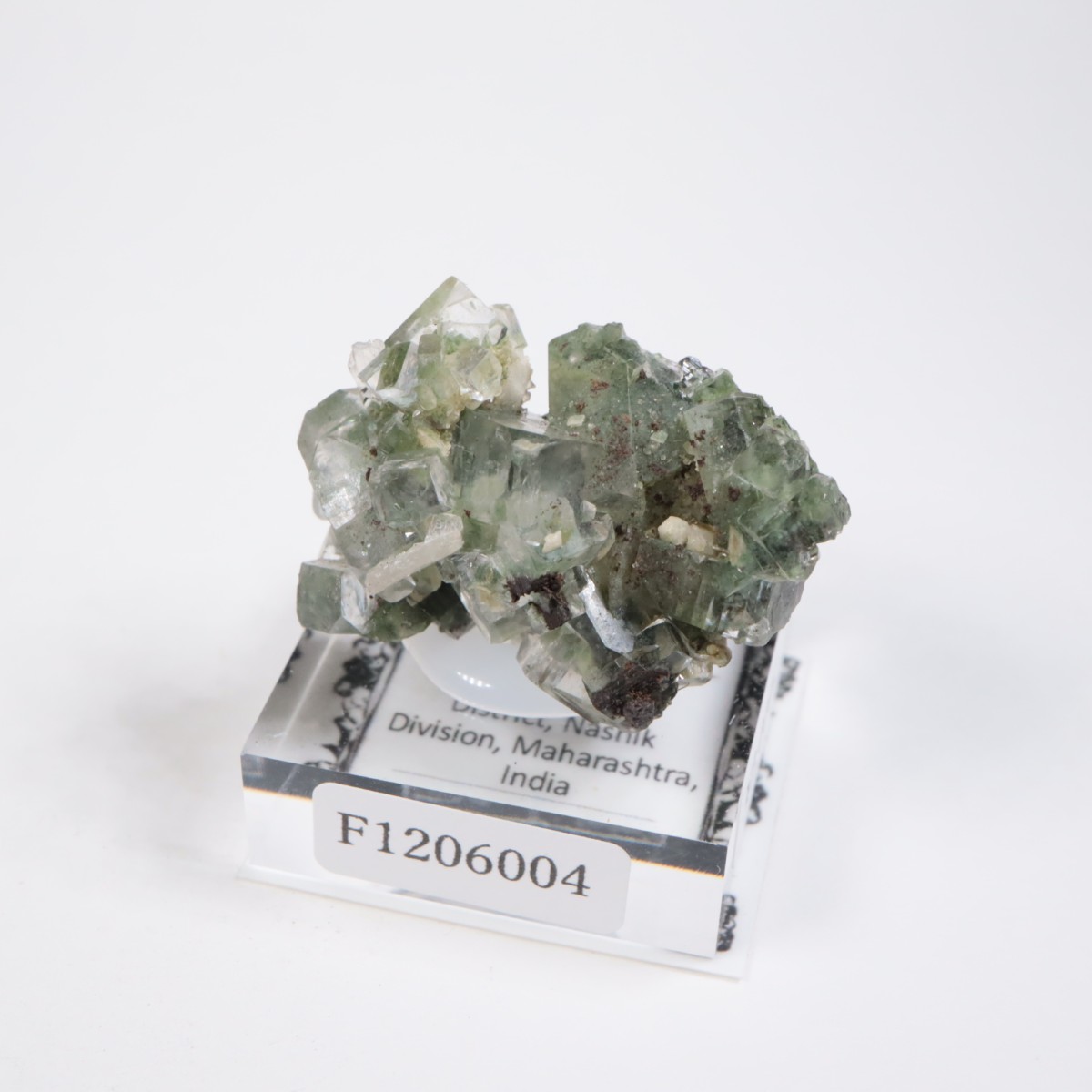 ����ɻ� ���ݥե��饤��