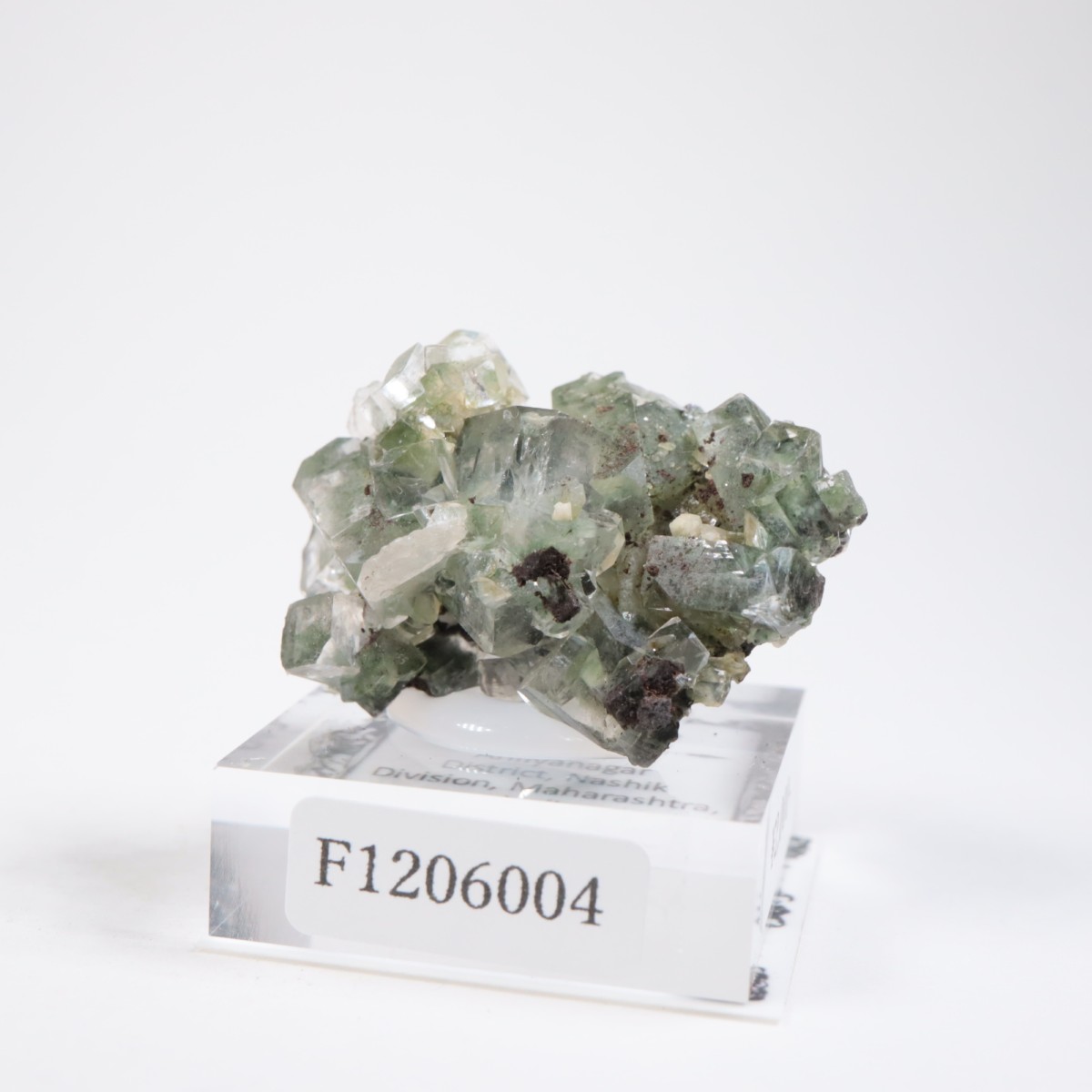 ����ɻ� ���ݥե��饤��