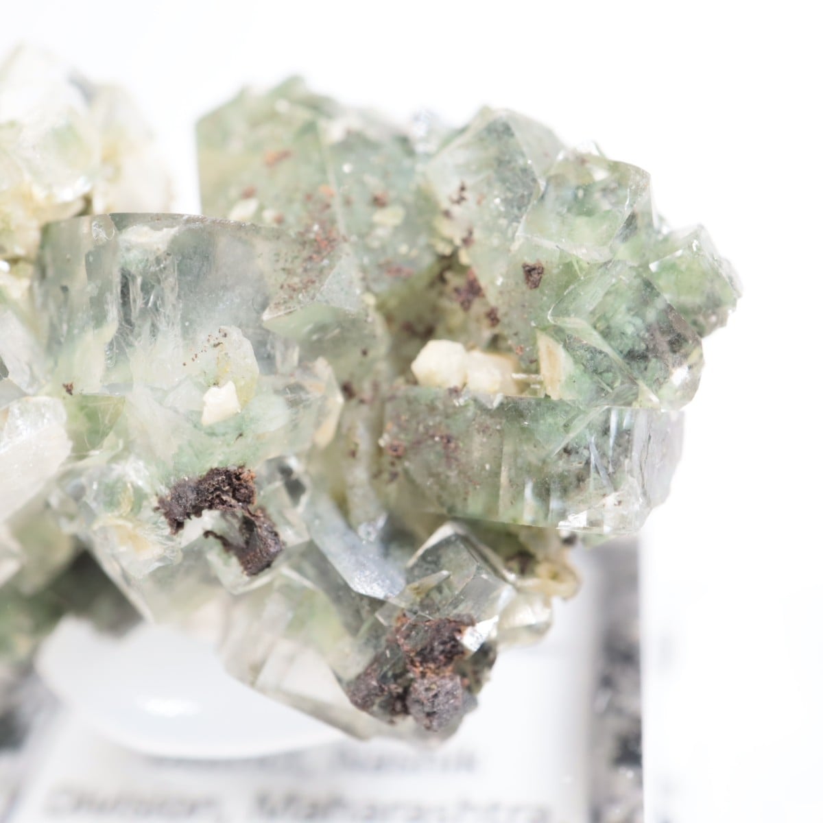 ����ɻ� ���ݥե��饤��