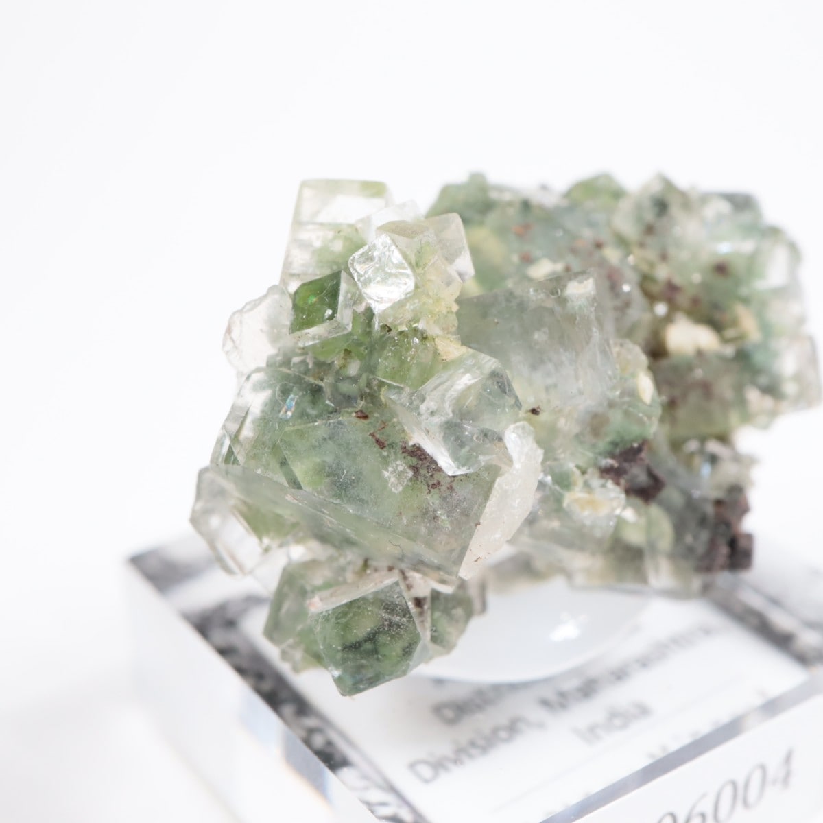 ����ɻ� ���ݥե��饤��