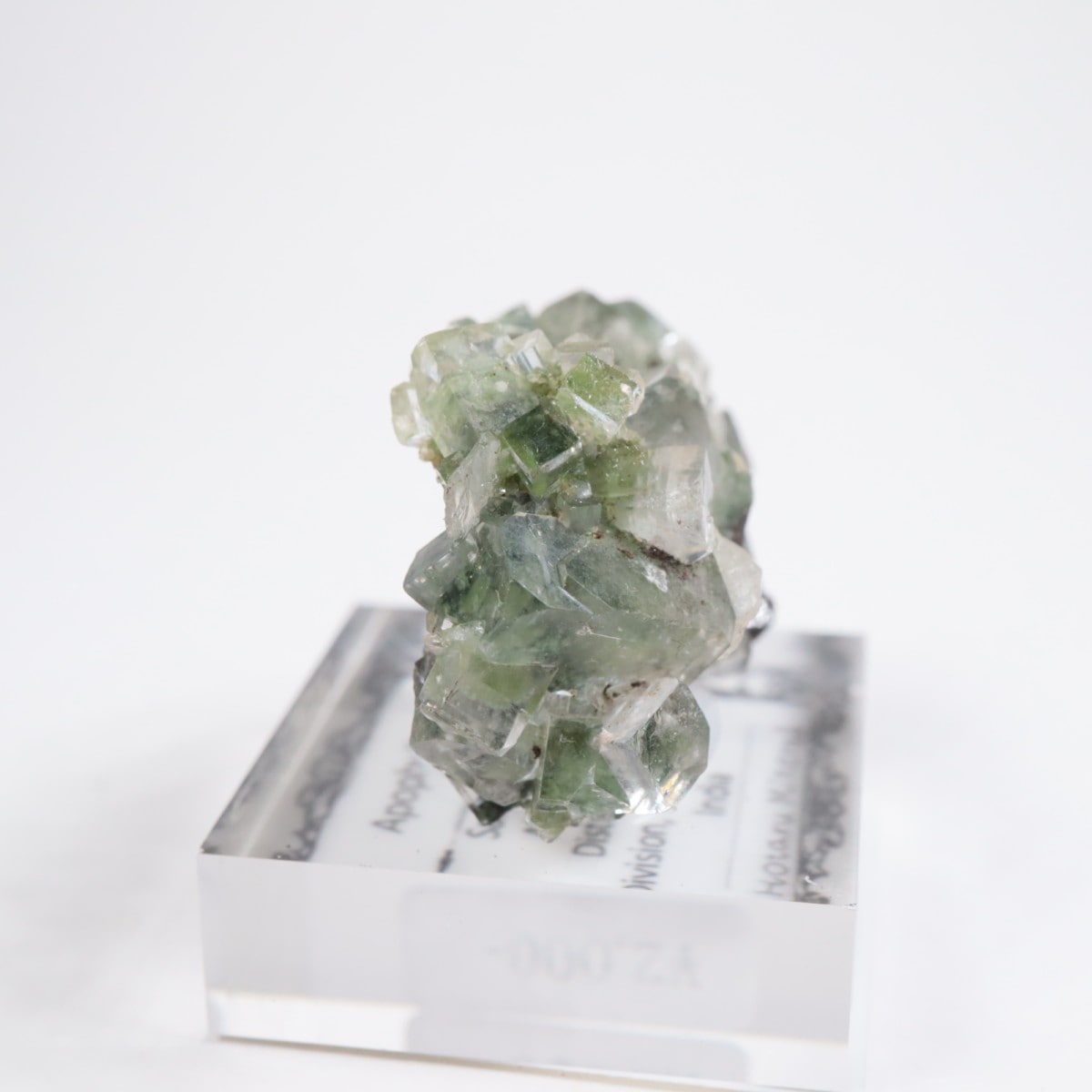 ����ɻ� ���ݥե��饤��