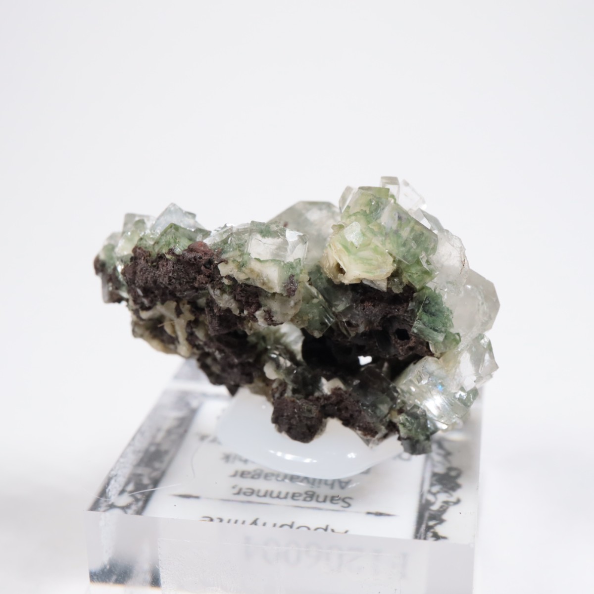 ����ɻ� ���ݥե��饤��