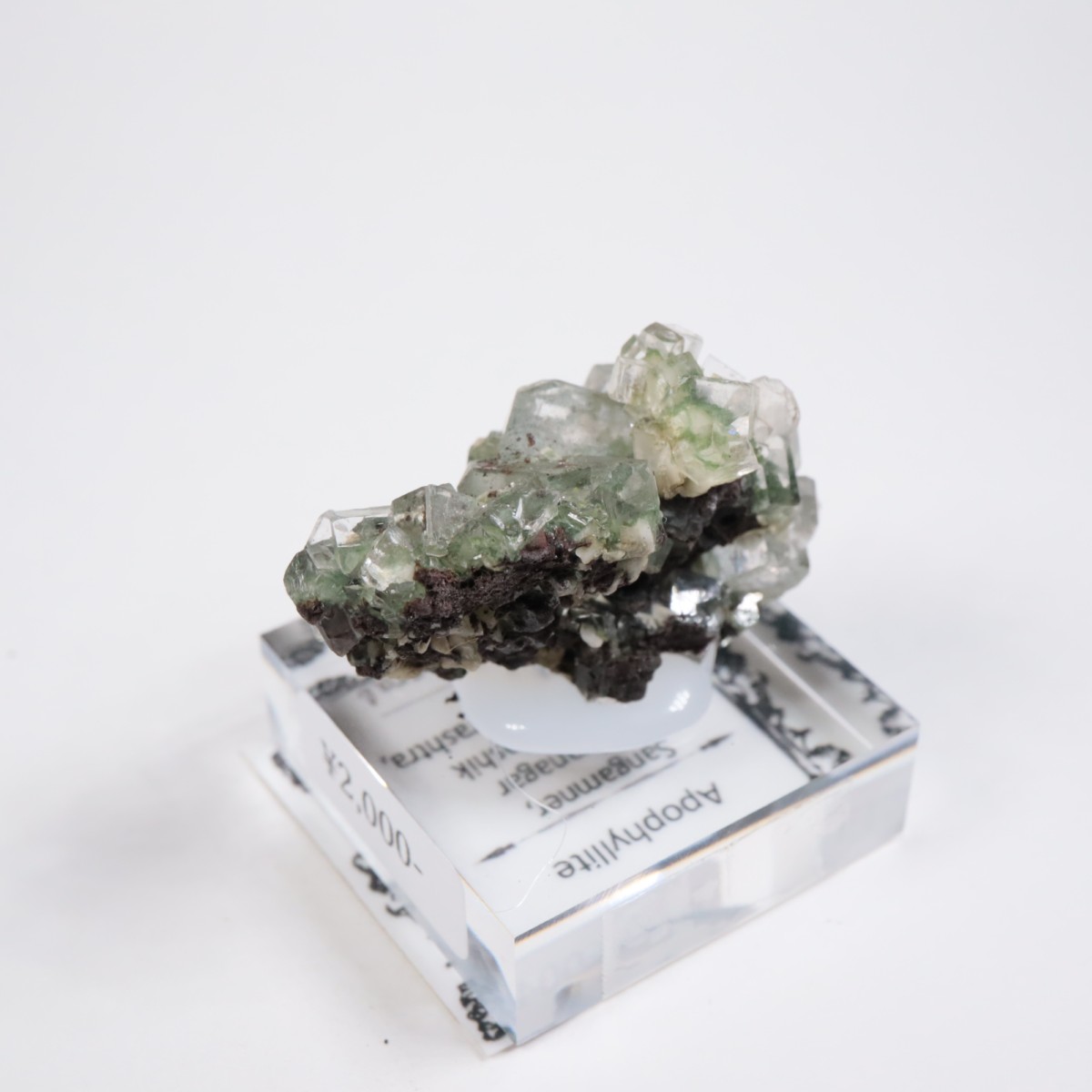 ����ɻ� ���ݥե��饤��